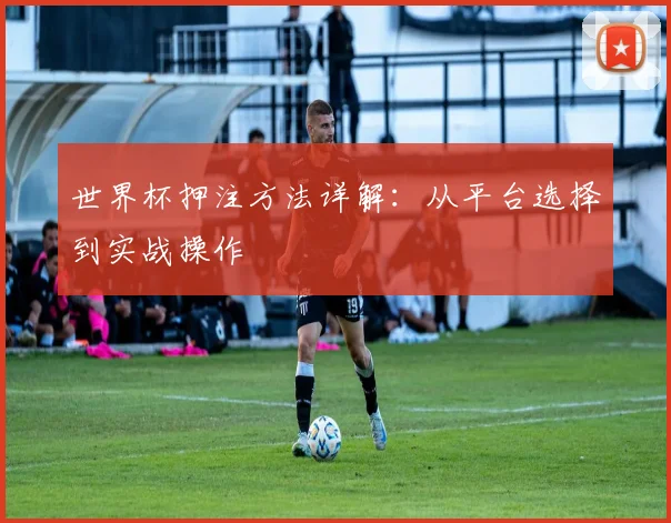 世界杯押注方法详解：从平台选择到实战操作