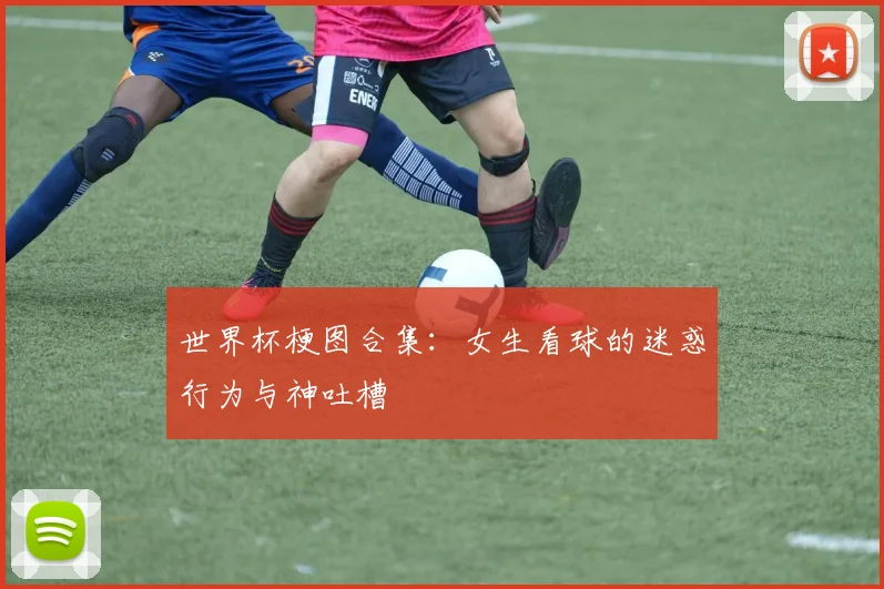 世界杯梗图合集：女生看球的迷惑行为与神吐槽